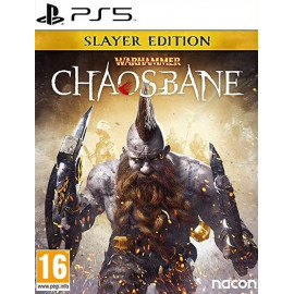 Warhammer Chaosbane - Slayer Edition [PS5, русские субтитры]