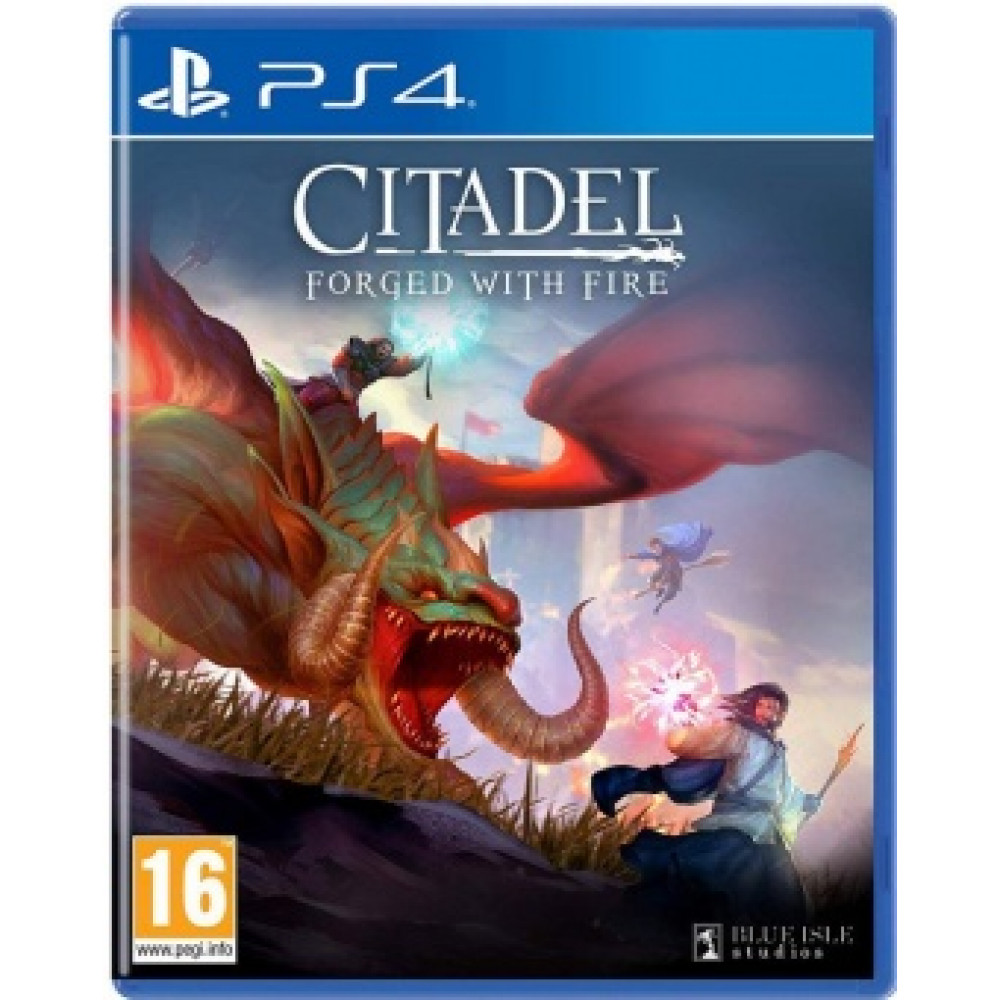 Citadel: Forget With Fire [PS4, английская версия]